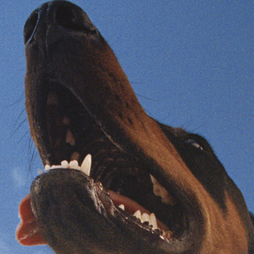 Overmono Live @ Lollapalooza Argentina 2024.mp3