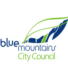 Ordinary Meeting 29 July 2025