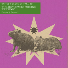 United Colors of Papa Bo - Who Are You When Nobody's Watching? (ep.3, s.2 : 2025)