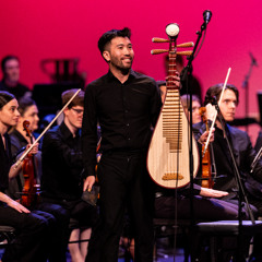 Baldwin Giang - PIPA BOY III: "encounters between past and future" (excerpt)