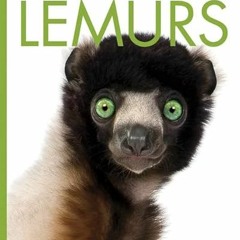 [Access] [PDF EBOOK EPUB KINDLE] Lemurs by  Valerie Bodden 📖