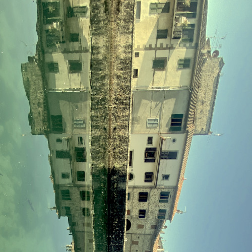 Caligo Paean (A gift, a choice)