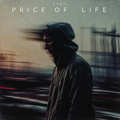 Price of This Life
