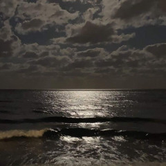 تنشد عن الحال؟