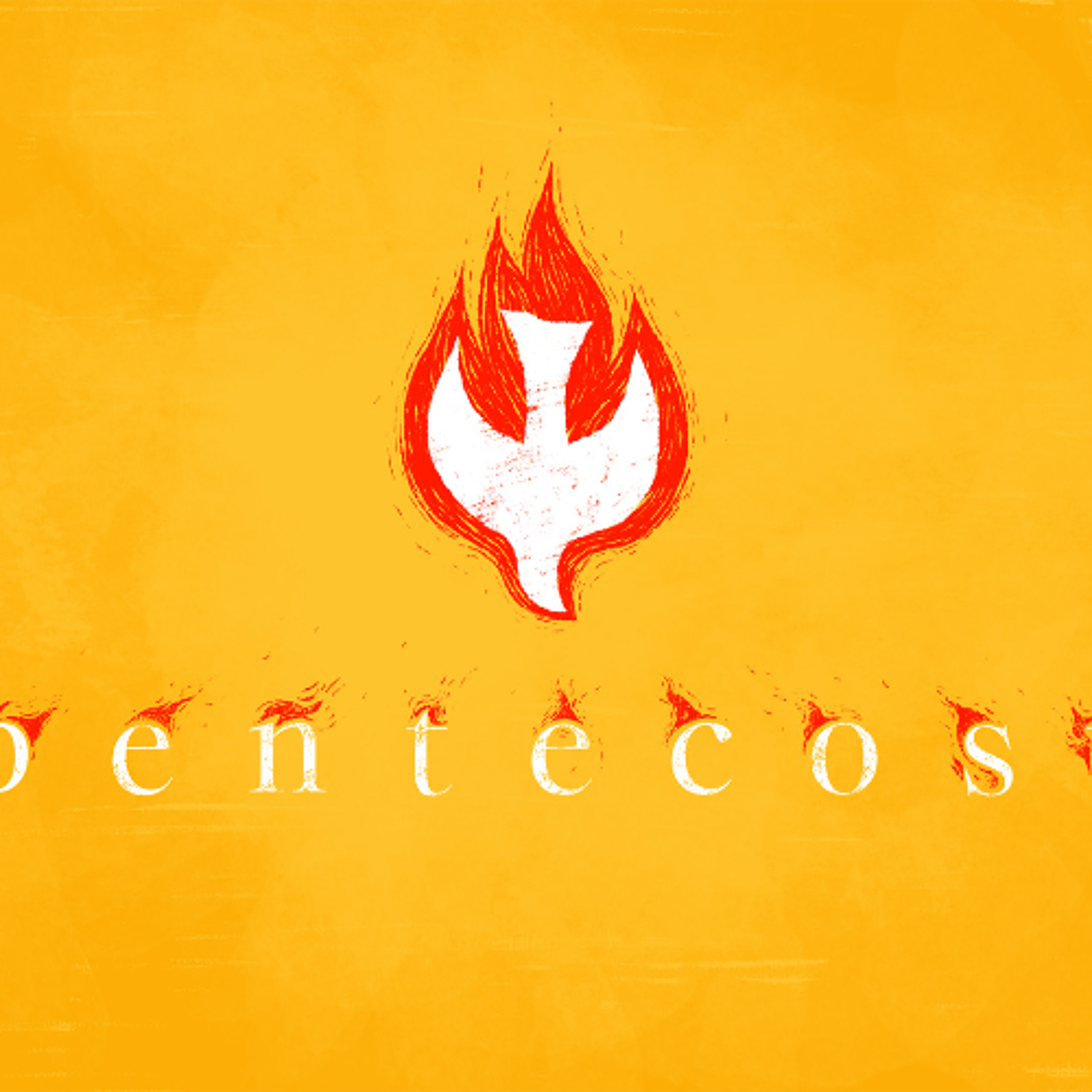 Shaped by The Shepherd