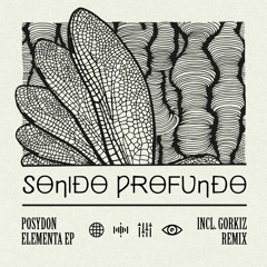 PREMIERE: POSYDON - Mare (Original Mix) [Sonido Profundo]