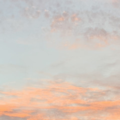 dandelion hands - to lauren, from jose (cover)