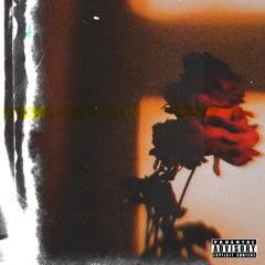 Still In Bloom (P. 3auncyy)