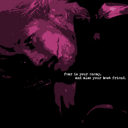 Fear is your enemy, and also your best friend.