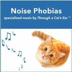NOISE (FREE DL)