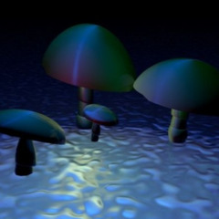 mushroom music