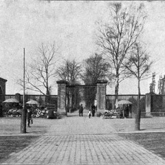 Trinitatisfriedhof in Dresden, 30.11.2024, 3:30 p.m.