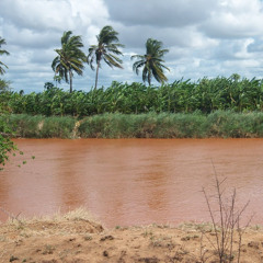 Waan daalee - Maxamed Saleebaan Tubeec