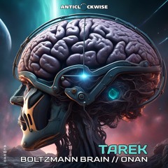 Tarek - Boltzmann Brain (ACW040)