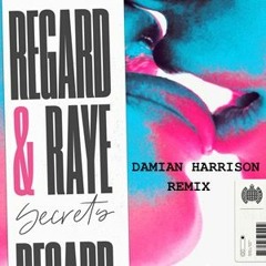 Regard & RAYE - Secrets (Damian Harrison Remix)