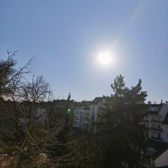 Live Wire in Lo-Fi Fog