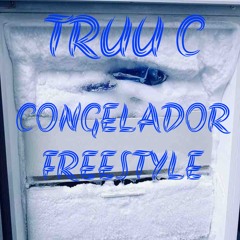 Congelador Freestyle