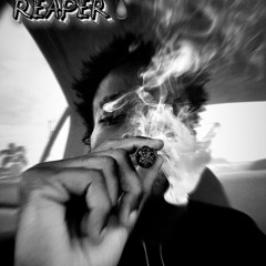 Blood Shed