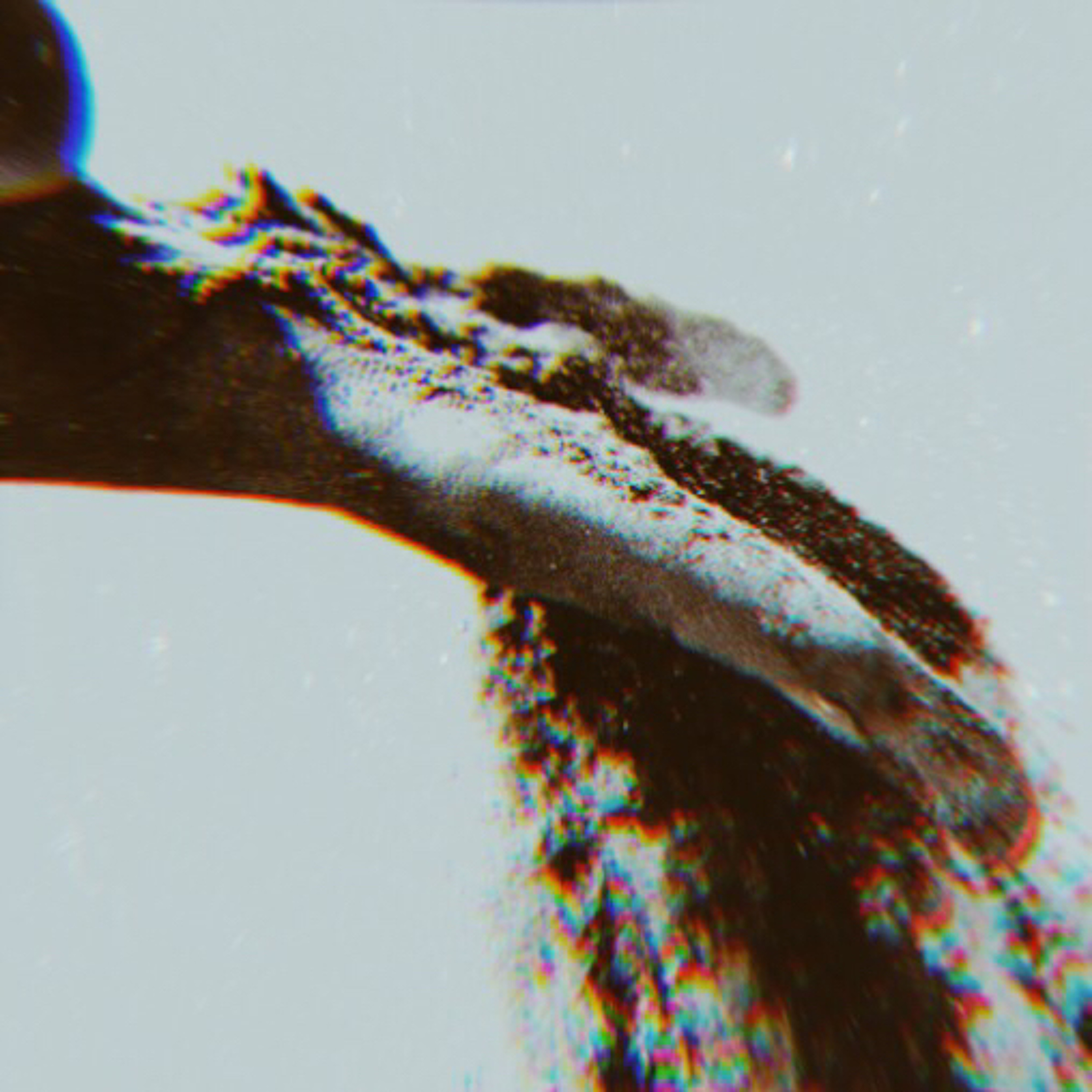 Dust to dust episode artwork