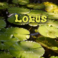 lotus