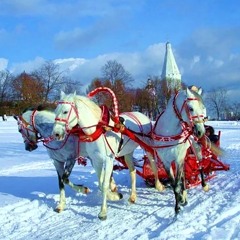 три белых коня