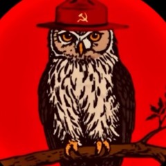 mybrainisatrainwreck.m4a