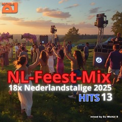18 x Nederlandstalige Hits (Tranquilo, Alles kan kapot, Nachtenlang) In De Mix 2025 #13