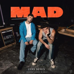 Martin Garrix Lauv Zerx MAD