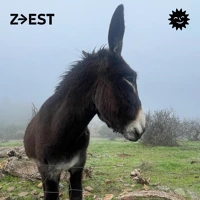 Soundcloud podcast image for Latinclub - Analg3sia 