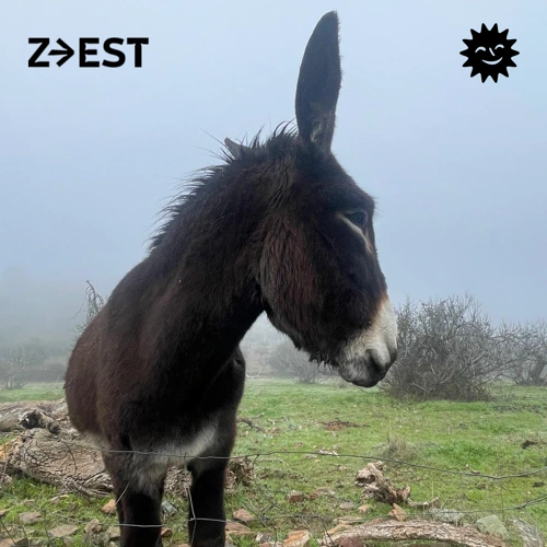 Soundcloud podcast image for