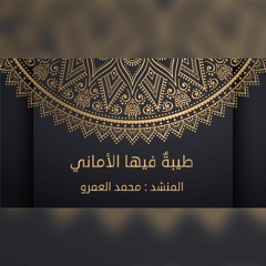 طيبة فيها الاماني - الفرقة الهاشمية للإنشاد