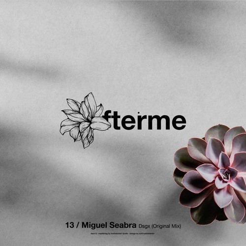 Miguel Seabra - Dsgx (Original Mix)