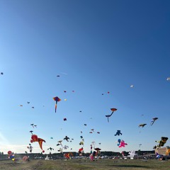 Emotional Support Dog 🐕Jose