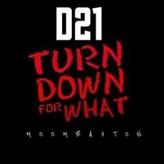 Turn Down For What (Dj D21 Moombahton).mp3