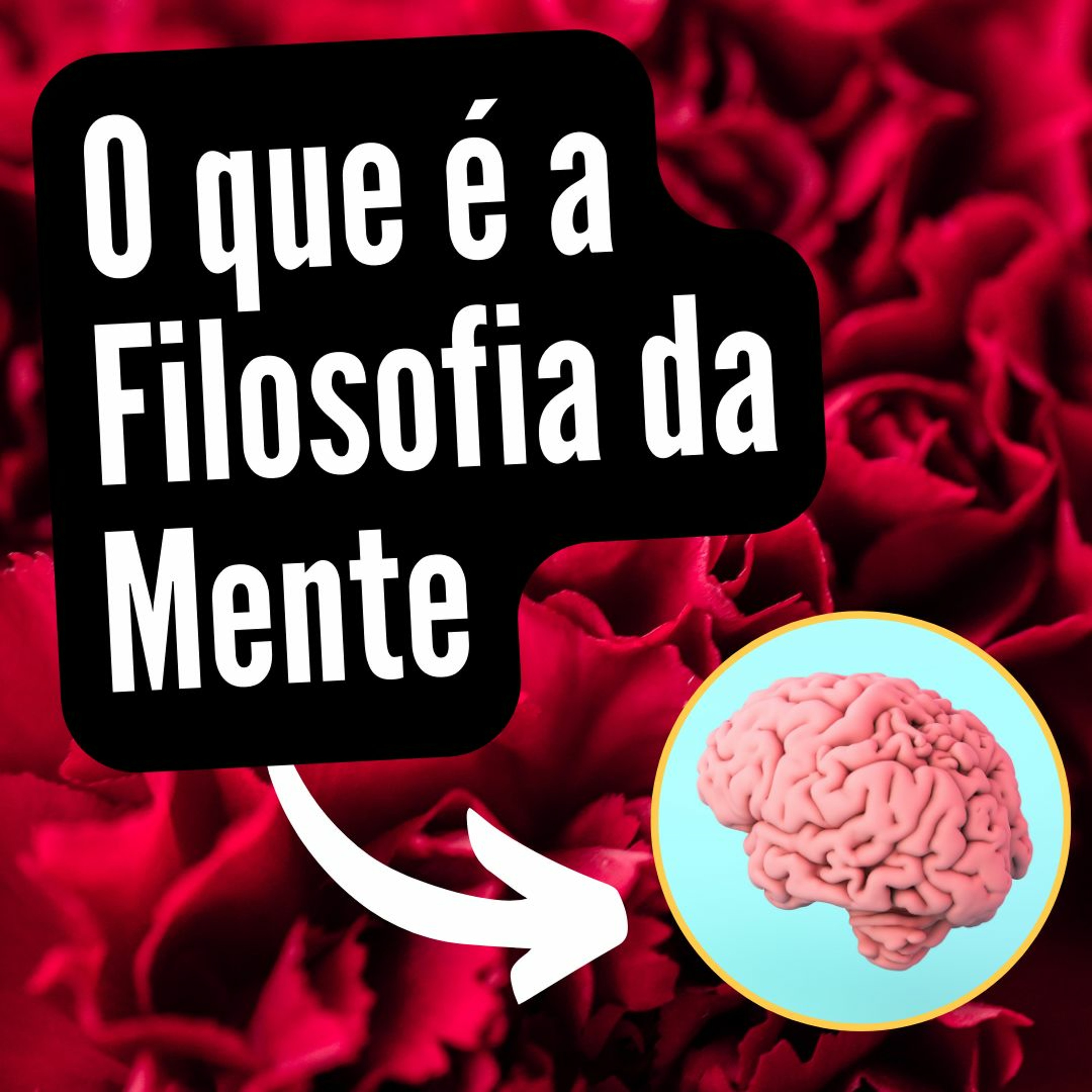 Yoga e Neurociências