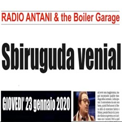 SBIRIGUDA VENIAL