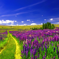 (SOUL SPIN) wifiskeleton - you gave birth in july