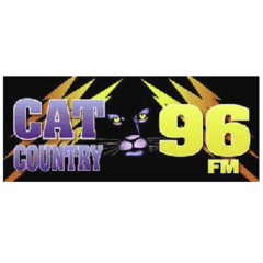 WCTO (Cat Country 96) - Reelworld - 2000 (Custom)
