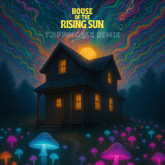The Animals - House Of The Rising Sun (TrippingSax Remix)