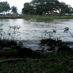 Song Dump 2 - From Now On (short cover)