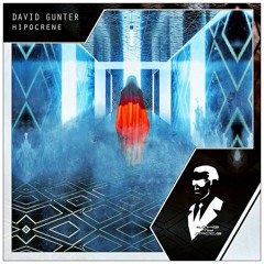 David Gunter - Hipocrene (Radio Edit)