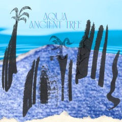 Aqua