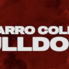 Navarro College Cheer 2022-23