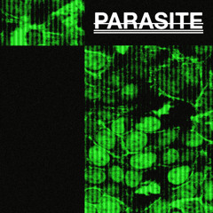 Parasite