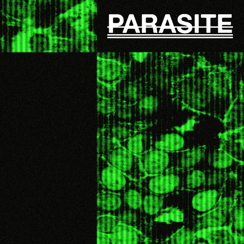 Parasite
