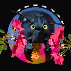 who is who (in this world)