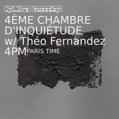 4ème chambre d'inquiétude W/ Théo Fernandez (12/11/24)