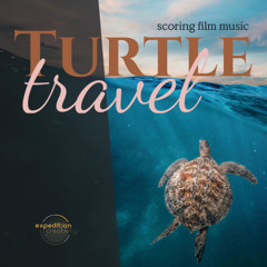 Turtle Travel