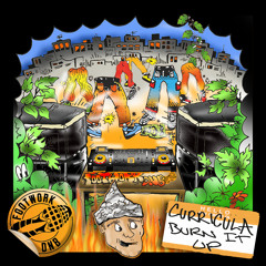 CURRICULA - BURN IT UP [FREE DOWNLOAD]