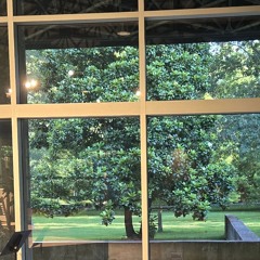 07.29.25.Frondi tenere... Ombra mai fu- from Serse, HWV 40 (Handel).wav